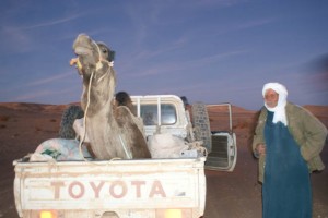 Tuareg z pupilkiem 