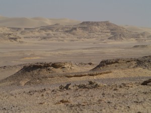 Sahara obfituje w niezwykłe formacje skalne (fot. Dominik Szmajda)