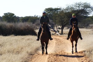 Konno przez Namibię